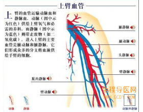 图解：脉管炎发生坏疽的临床症状