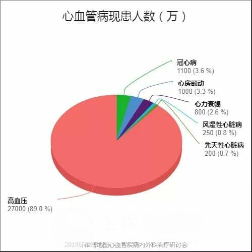 2019环淮海地区心血管疾病内外科治疗研讨会在市一院举办