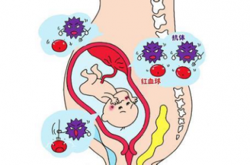 献血科普|“胎儿新生儿溶血病”4问4答