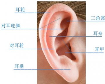 徐州妇幼保健院儿童耳鼻喉保健科开展耳廓无创矫正项目
