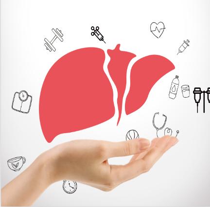 36岁男子频繁醉酒患上酒精肝 消化内科刁凌云:中医分型施治可缓解肝功能异常