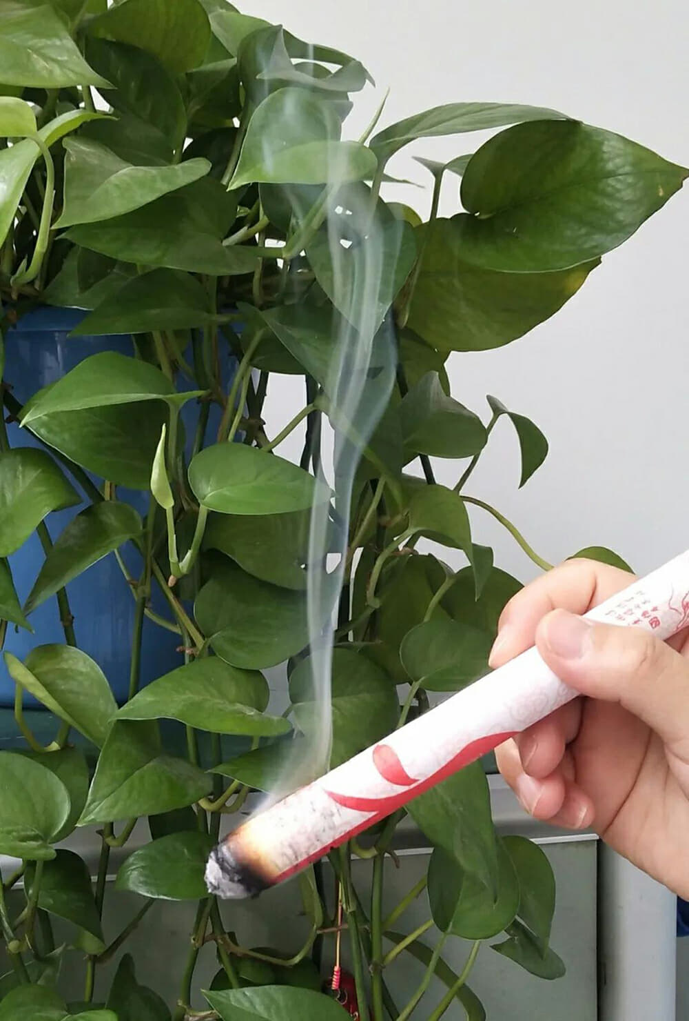 徐州市一院中医科：艾灸“安神”的妙用 - 全程导医网