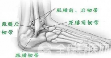 徐州市康复医院张虹桂:如何解决“习惯性崴脚”?