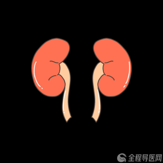 徐州市中心医院专家提醒：慢性肾炎不可逆，定期体检不能少！