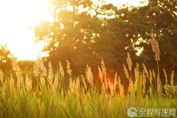 热热热!徐州一院急诊医学中心专家提醒:这些防暑误区一定要避开!
