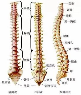 徐州市中医院推拿科司井夫：防治脊柱侧弯需做好的5件“小事”