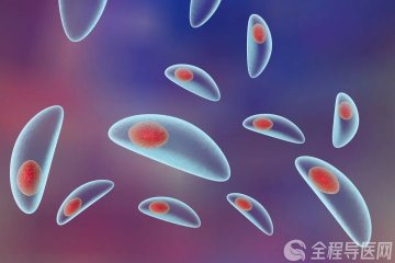 家养猫狗，当心弓形虫病