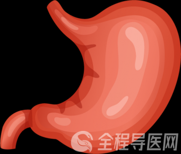 徐州市中医院消化内科：幽门螺杆菌，您了解吗？