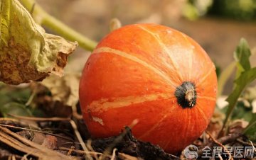 吃老南瓜+砂糖橘进了ICU？徐州肿瘤医院医生提醒：千万别多吃！