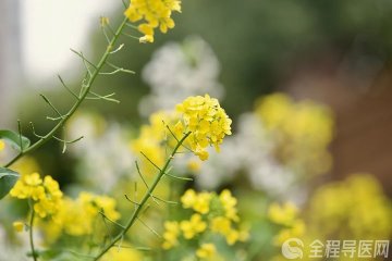 春游后皮肤又红又痒 徐州市中医院皮肤专家教你打好春季皮肤“保卫战”