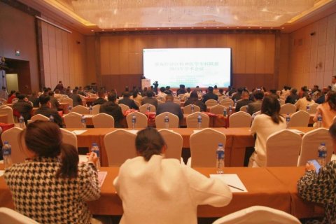 淮海经济区精神医学专科联盟2024年学术会议成功举办