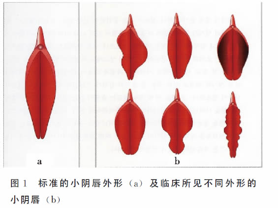微信图片_20250611095711.jpg