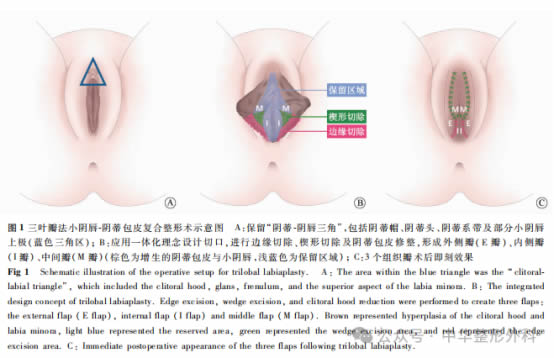 微信图片_20250611095716.jpg