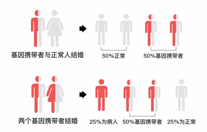 微信图片_2025-07-02_181731_027.jpg
