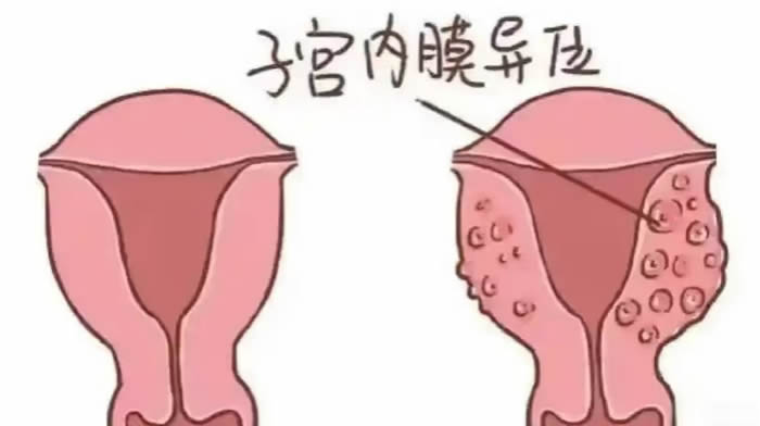 微信图片_2025-07-03_165719_093.jpg