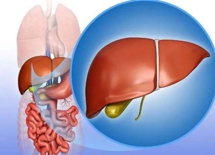 徐州七院肝病专家庄立伟：身体出现这些“蛛丝马迹”，可能是肝脏在报警！